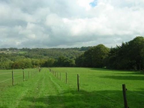 Bed and Breakfast Little Tidebrook Farm Wadhurst Екстер'єр фото