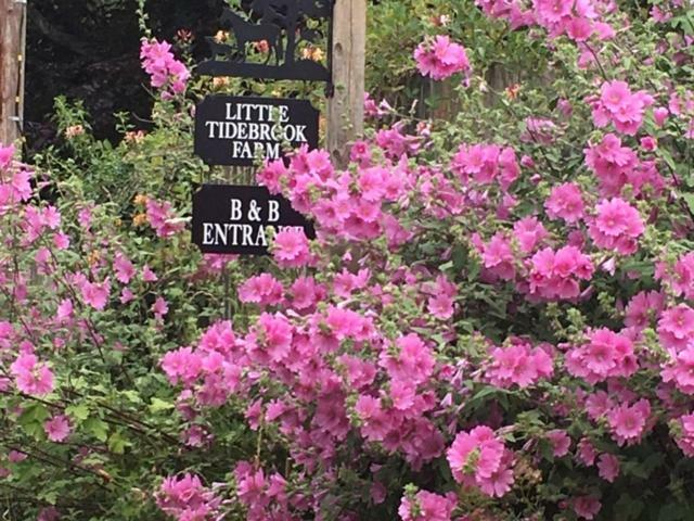 Bed and Breakfast Little Tidebrook Farm Wadhurst Екстер'єр фото